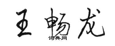 駱恆光王暢龍行書個性簽名怎么寫