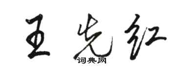 駱恆光王先紅行書個性簽名怎么寫