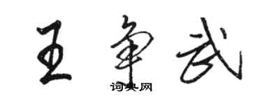 駱恆光王爭武行書個性簽名怎么寫