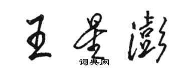 駱恆光王星澎行書個性簽名怎么寫