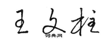 駱恆光王文柱草書個性簽名怎么寫