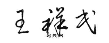 駱恆光王祥民草書個性簽名怎么寫