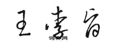 駱恆光王李旨草書個性簽名怎么寫