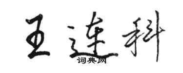 駱恆光王連科行書個性簽名怎么寫