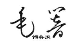 駱恆光毛響草書個性簽名怎么寫