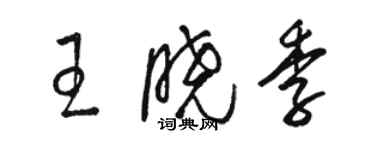 駱恆光王曉季草書個性簽名怎么寫