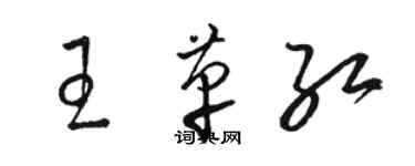 駱恆光王革紅草書個性簽名怎么寫