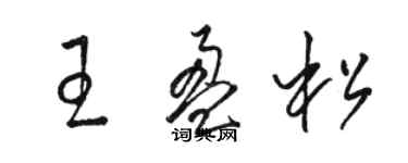 駱恆光王盈松草書個性簽名怎么寫