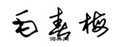 朱錫榮毛春梅草書個性簽名怎么寫