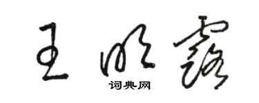 駱恆光王明露草書個性簽名怎么寫