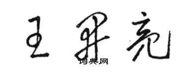 駱恆光王開亮草書個性簽名怎么寫