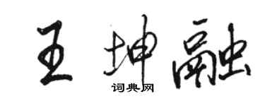駱恆光王坤融行書個性簽名怎么寫