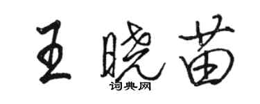 駱恆光王曉苗行書個性簽名怎么寫