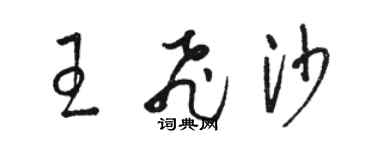 駱恆光王飛沙草書個性簽名怎么寫