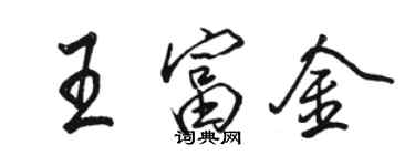 駱恆光王富金行書個性簽名怎么寫