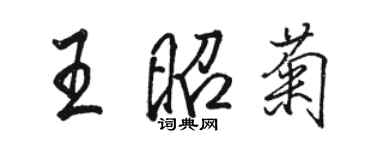 駱恆光王昭菊行書個性簽名怎么寫