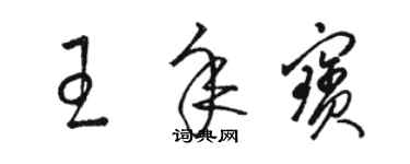 駱恆光王年寶草書個性簽名怎么寫