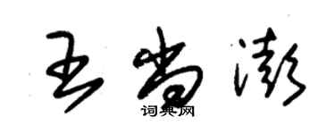 朱錫榮王尚澎草書個性簽名怎么寫