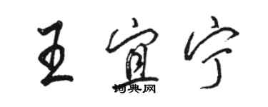 駱恆光王宜寧行書個性簽名怎么寫