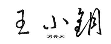 駱恆光王小鑰草書個性簽名怎么寫