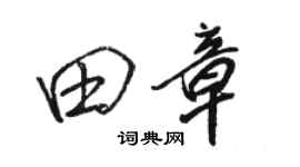 駱恆光田章行書個性簽名怎么寫
