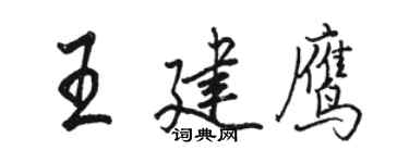 駱恆光王建鷹行書個性簽名怎么寫