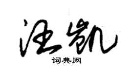 朱錫榮汪凱草書個性簽名怎么寫