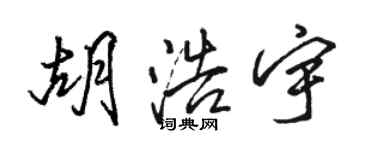 駱恆光胡浩宇行書個性簽名怎么寫