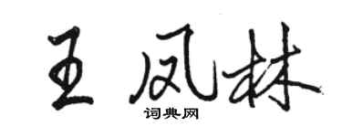 駱恆光王鳳林行書個性簽名怎么寫