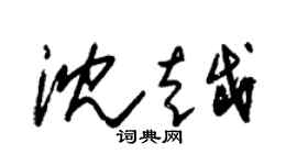 朱錫榮沈越草書個性簽名怎么寫