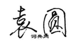 駱恆光袁圓行書個性簽名怎么寫