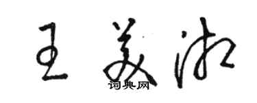 駱恆光王美湘草書個性簽名怎么寫