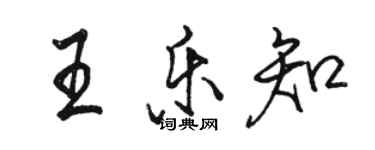 駱恆光王樂知行書個性簽名怎么寫