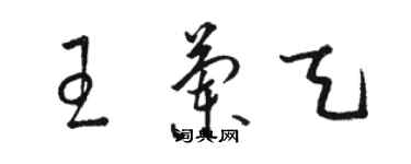 駱恆光王蘭天草書個性簽名怎么寫