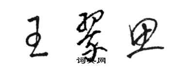 駱恆光王翠思草書個性簽名怎么寫