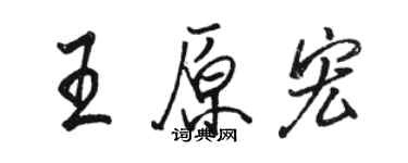 駱恆光王原宏行書個性簽名怎么寫