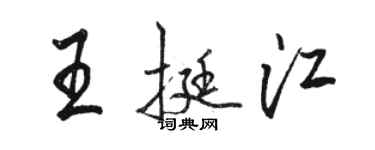 駱恆光王挺江行書個性簽名怎么寫