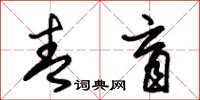朱錫榮青盲草書怎么寫