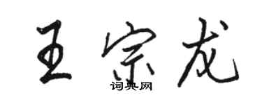 駱恆光王宗龍行書個性簽名怎么寫