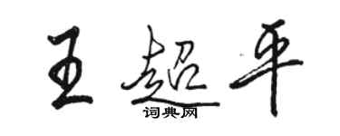 駱恆光王超平行書個性簽名怎么寫