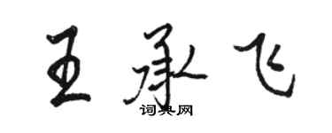 駱恆光王承飛行書個性簽名怎么寫