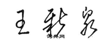 駱恆光王新泉草書個性簽名怎么寫