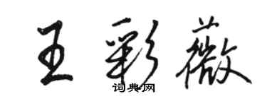 駱恆光王彩薇行書個性簽名怎么寫