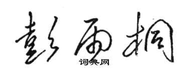 駱恆光彭雨桐草書個性簽名怎么寫