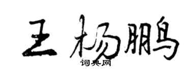 曾慶福王楊鵬行書個性簽名怎么寫