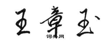 駱恆光王章玉行書個性簽名怎么寫