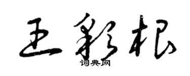 曾慶福王彩根草書個性簽名怎么寫