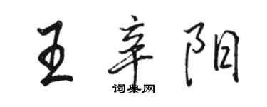 駱恆光王辛陽行書個性簽名怎么寫