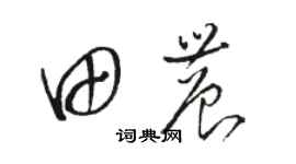駱恆光田農草書個性簽名怎么寫