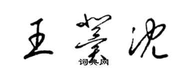 梁錦英王冀沈草書個性簽名怎么寫